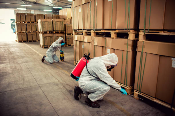 Best Ant Control Services  in Steubenville, OH