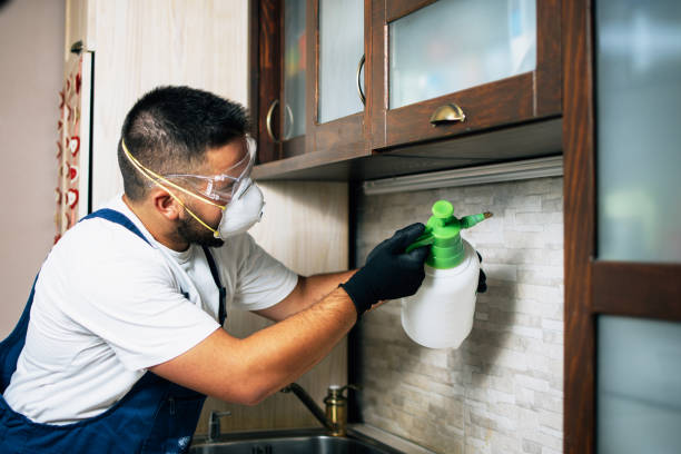 Best Affordable Pest Control Services  in Steubenville, OH