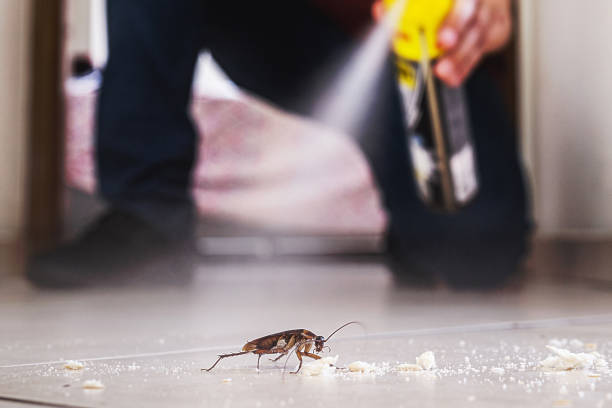 Best Mosquito Control Services  in Steubenville, OH
