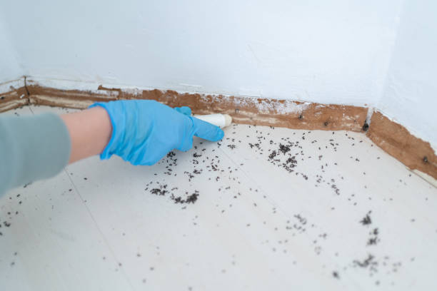 Steubenville, OH Pest Control Company