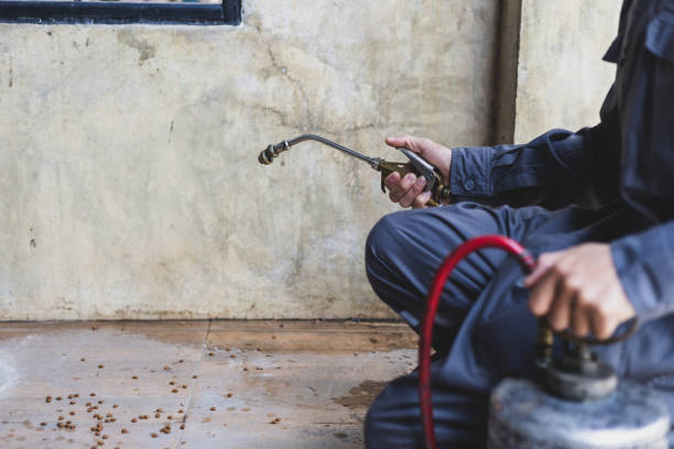 Best Pest Prevention Services  in Steubenville, OH